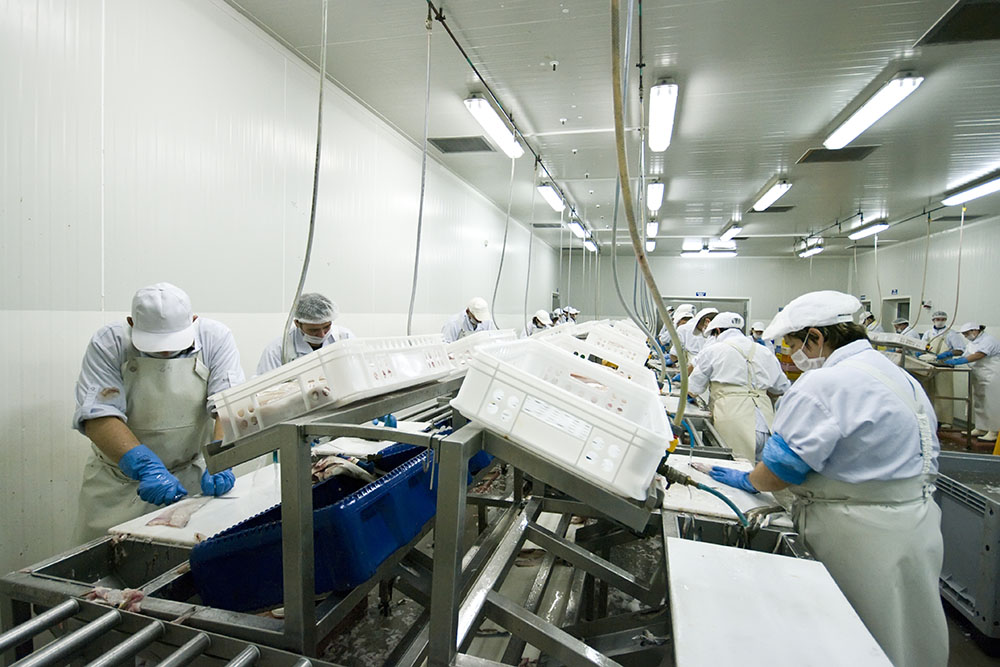 dreamstime_xxl_6773591